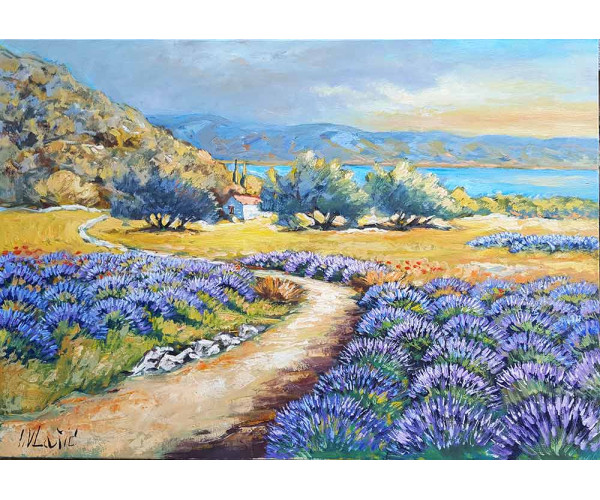 Vlašić Ivan lavanda 03 Vlašić Ivan lavanda 03
